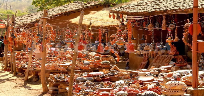 Shilpgram, Rajasthan