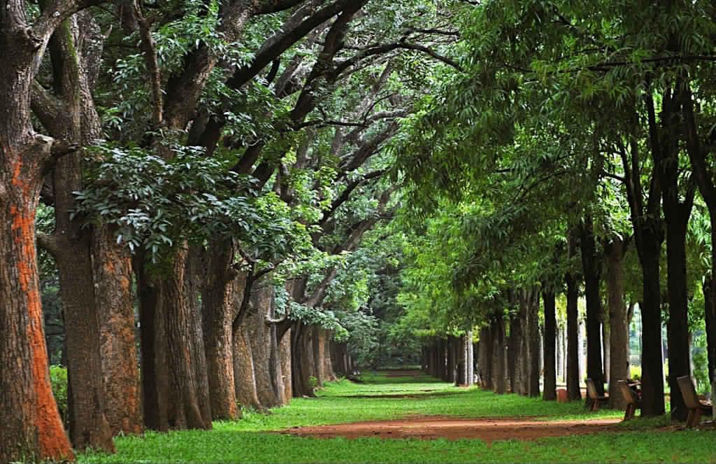 Cubbon Park, Bangalore