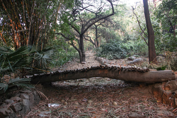 Kamla Nehru Ridge, Delhi