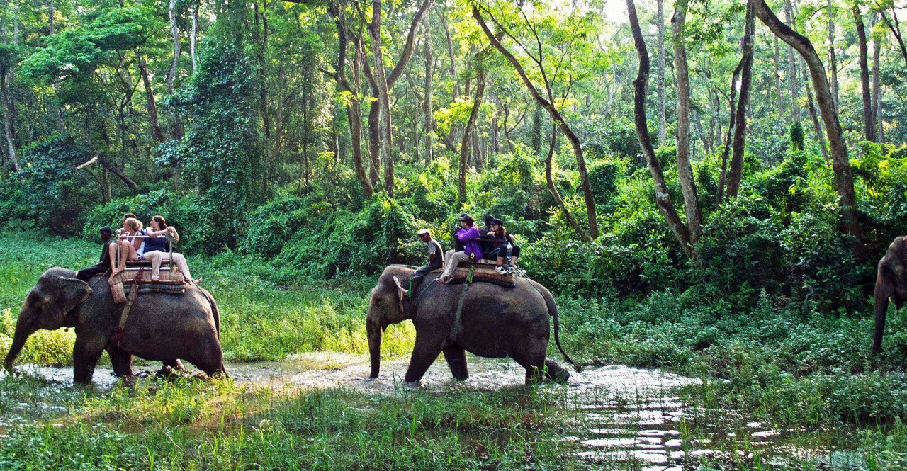 Chitwan National Park
