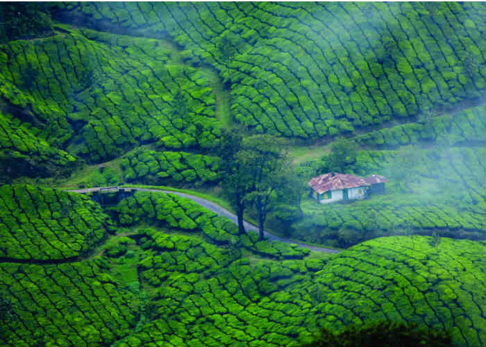 Munnar