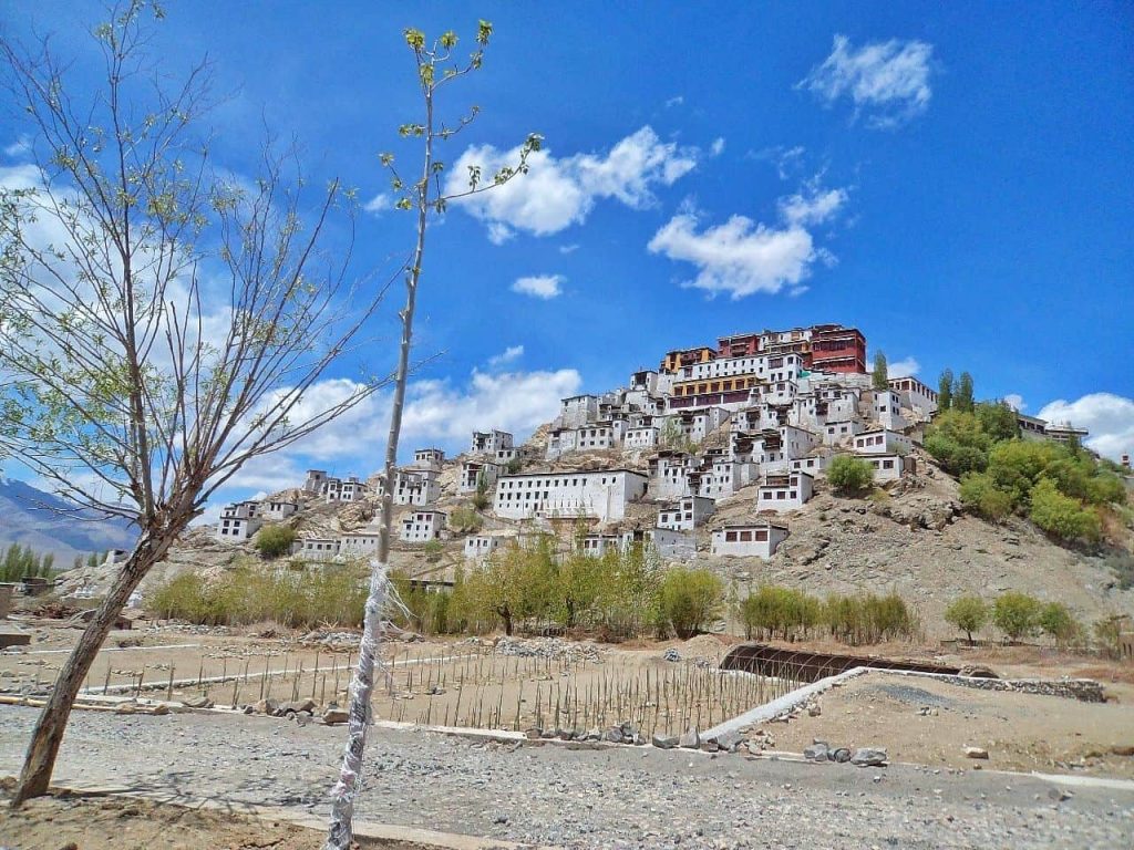 things to do in leh ladakh