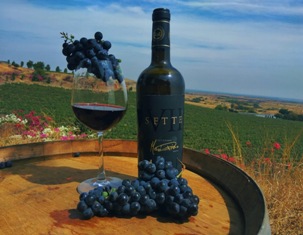 Top 10 Famous Vineyards to Visit in India