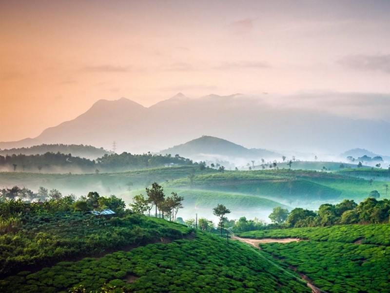 7 increíbles lugares para ver en la Kerala viaje