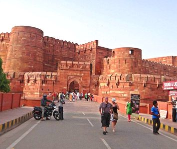 Camel Safari in Rajasthan