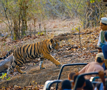 Ganga Ghat in Varanasi