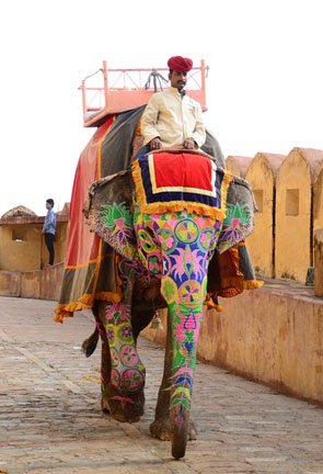 Honymoon Package India