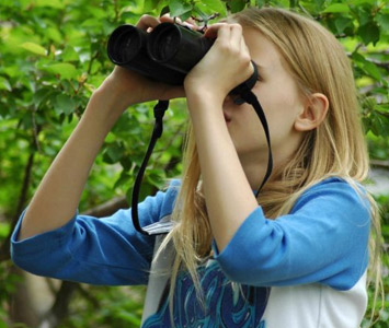 Bird watching in Ranthambore National Park