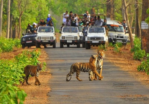 Sariska National Park