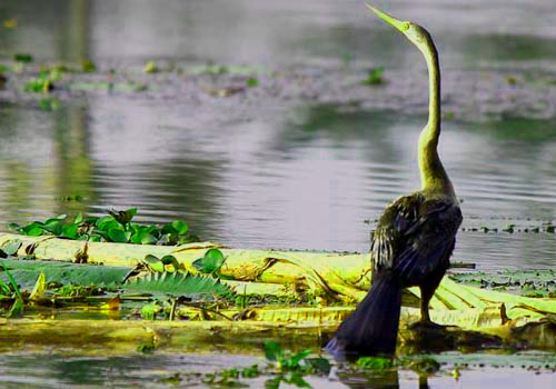 Wildlife Sanctuaries