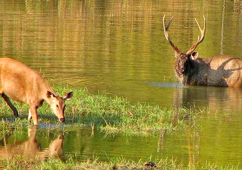 national park in india
