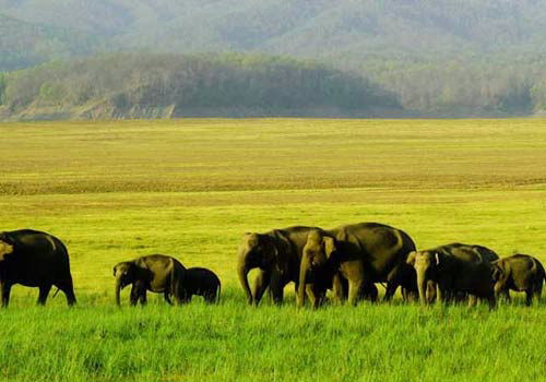 Periyar National Park