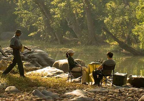 safari in kanha national park